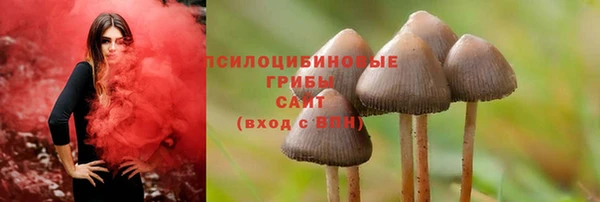 мяу мяу мука Беломорск
