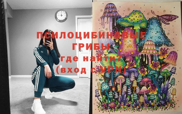 мяу мяу мука Беломорск